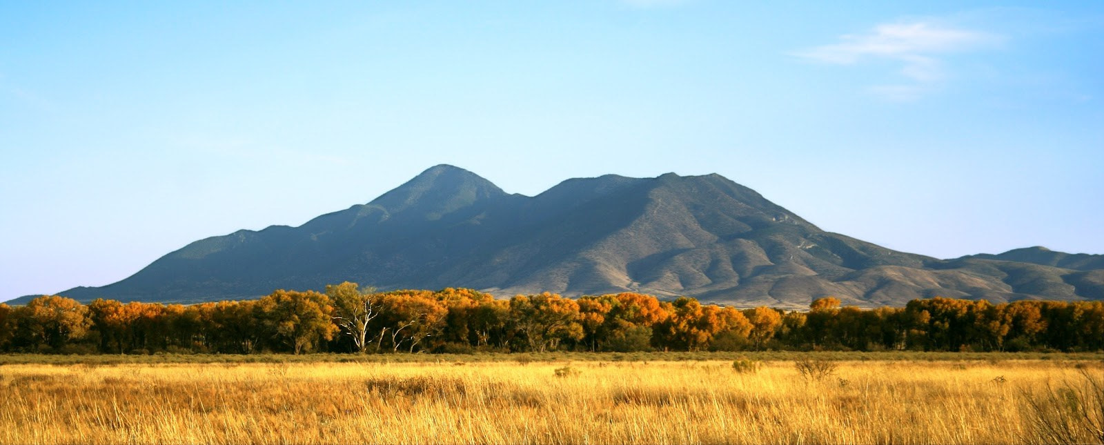 San Pedro River Below The San José Mountains
