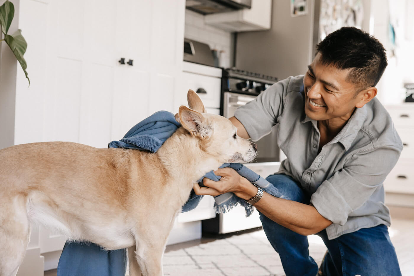 ECOS Pet Shampoo Instructions