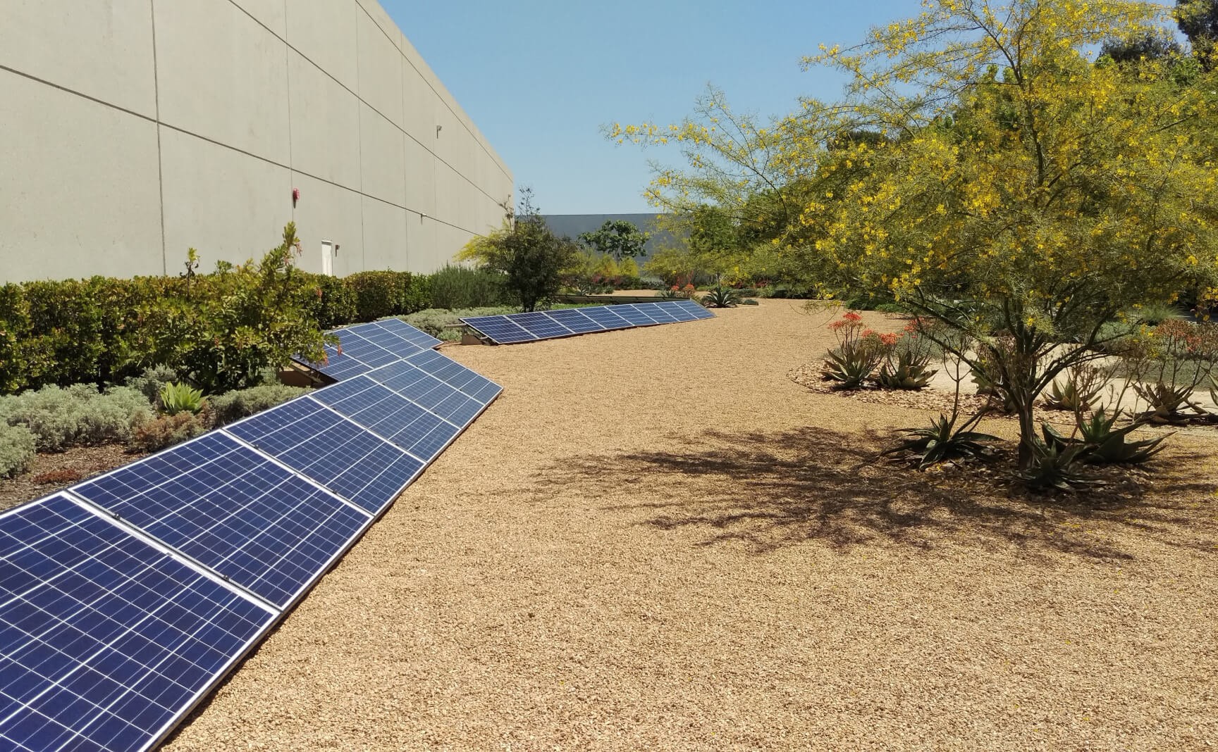 Solar panels against the side of a building