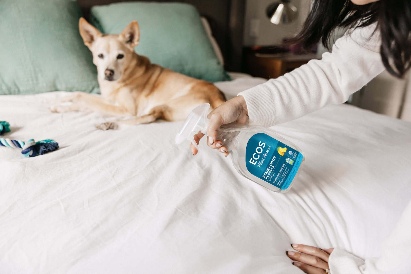 Using Stain and Odor Remover Spray