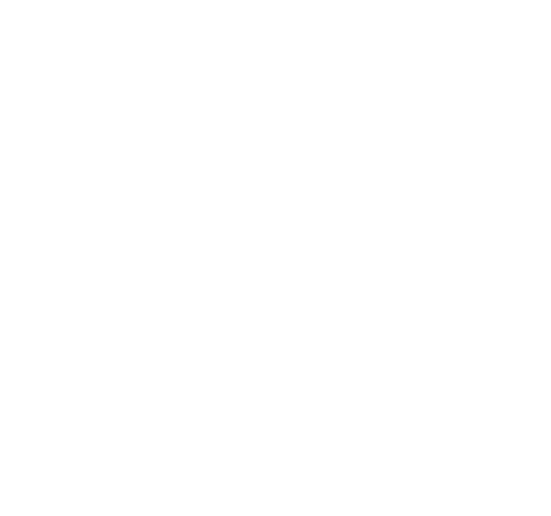 Minority Owned Business